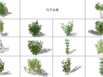 现代竹子
