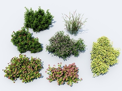 现代花草组合