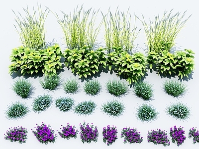 现代花草组合
