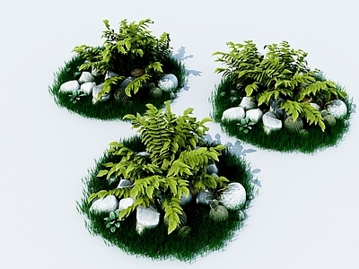 现代植物堆