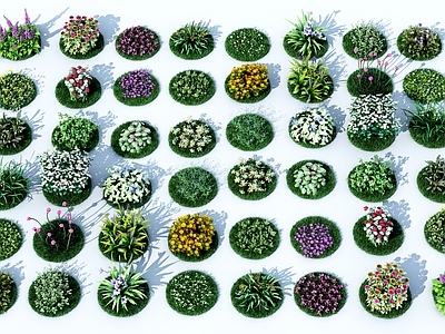 现代花草组合