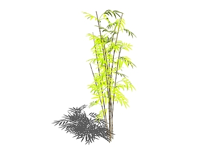 现代竹子