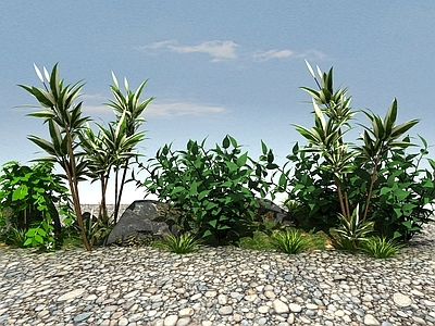 开花植物 绿化植物 景观植物