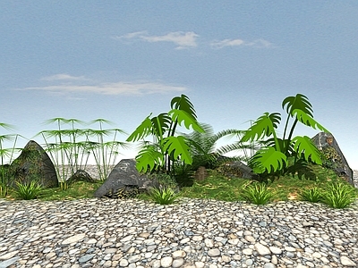 绿化植物 植物