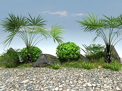 绿化植物 景观植物