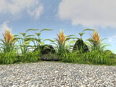 花草组合