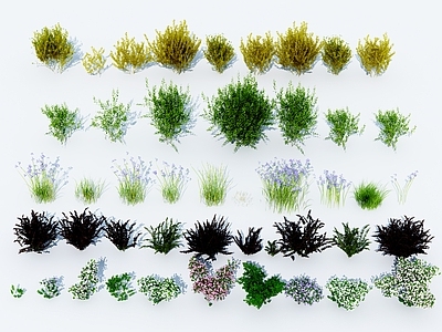 现代花草组合