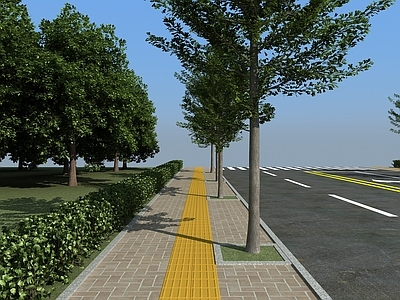 现代道路设施 人行道 盲道 绿篱 银杏树 马路 路面