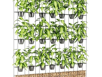 现代绿植墙 吊篮 办公