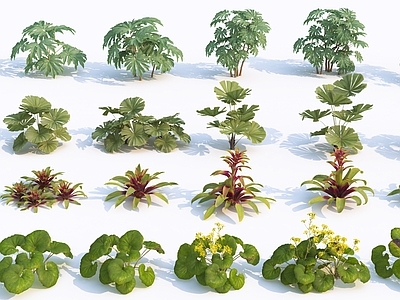 现代花草组合 灌木 花卉 草 庭院植物 室外植物