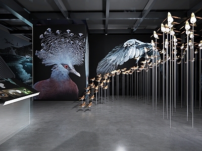 现代鸟类邮票展厅