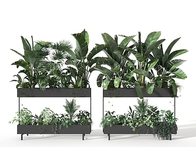 现代花箱 盆景 植物 绿植