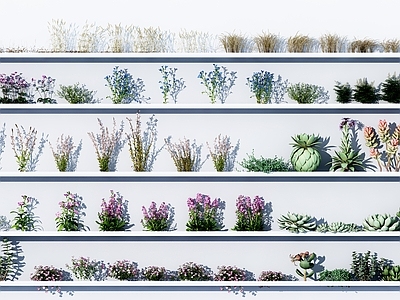 现代花草组合