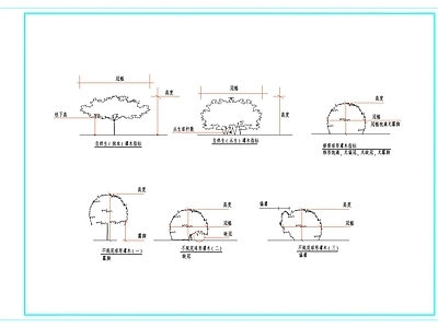 植物 乔木 灌木 地被 栽种 修剪大样图 施工图 局部景观