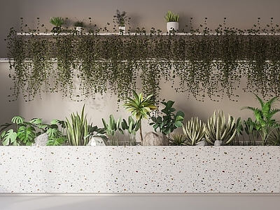 现代植物堆