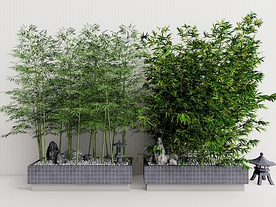 新中式竹子 植物盆栽