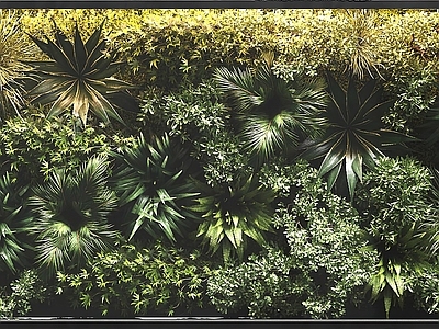 现代绿植墙