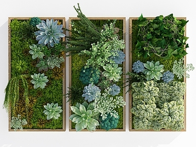 现代绿植墙