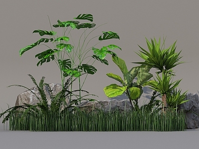 现代植物堆