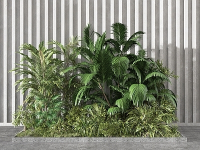 现代植物堆