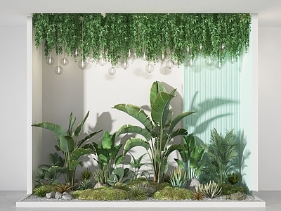 现代植物堆
