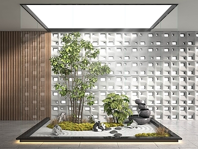 现代室内植物