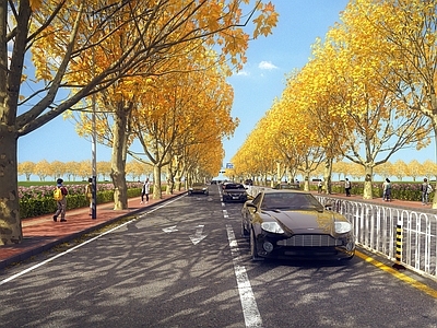 现代道路 机动车 古树 路面