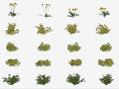 现代花草组合