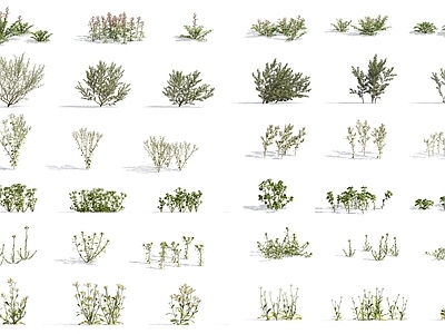 现代花草组合