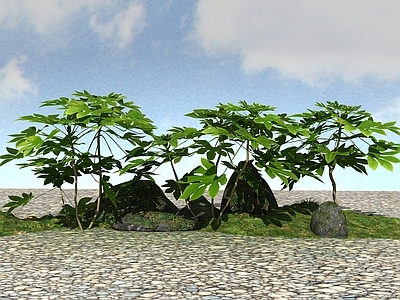 现代植物
