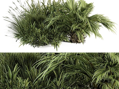现代植物堆