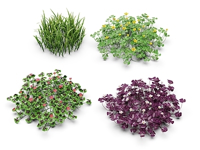 现代花草组合
