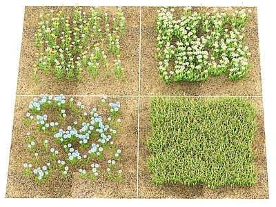 现代花草组合