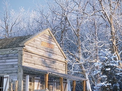 现代雪景住宅 森林别墅