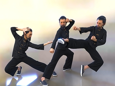 中式练武老人 打拳武术老者 太极男人 中国人
