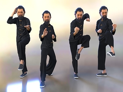 中式练武老人 打拳武术老者 太极男人 中国人