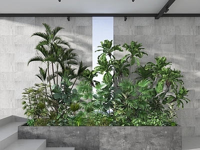 现代植物堆 灌木 园艺