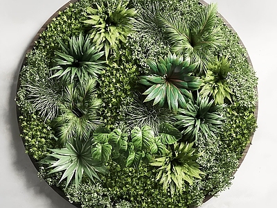 现代绿植墙 立体墙饰
