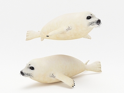 现代海豹