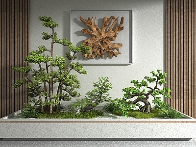 现代花坛 植物造景