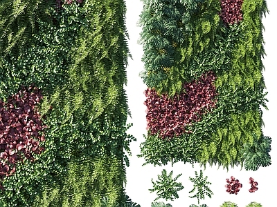 现代绿植墙 垂直绿化 植物墙