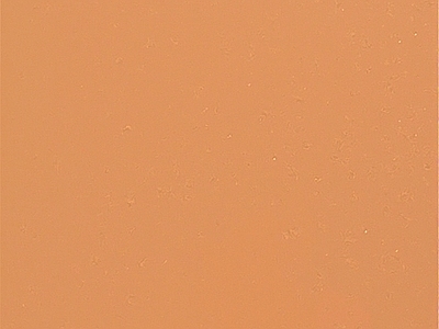 爱马仕橙纯色乳胶漆