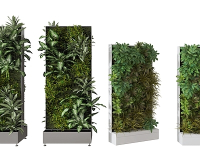 现代植物墙
