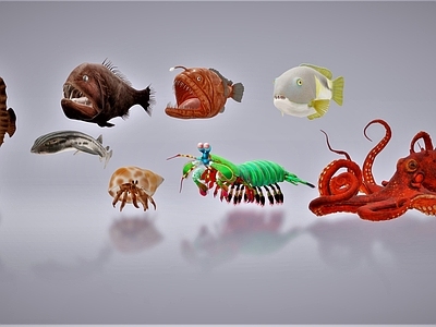 现代章鱼 海马 鱼 寄居蟹 虾