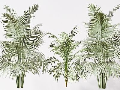 现代植物
