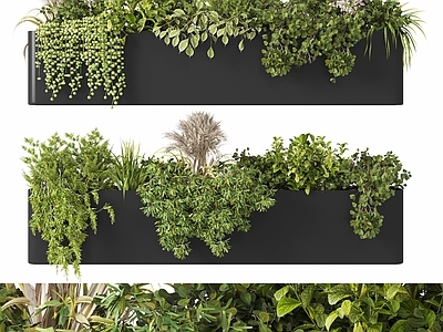 现代绿植花箱