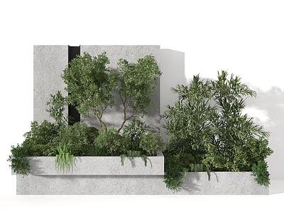 现代植物堆