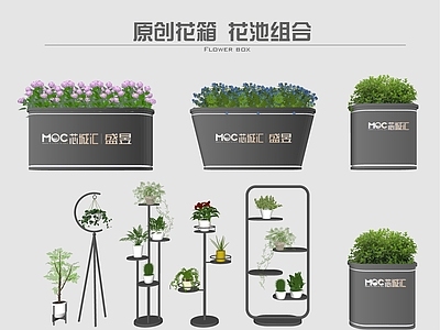 现代花箱 花钵 种植池 盆栽