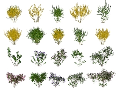 现代花草组合