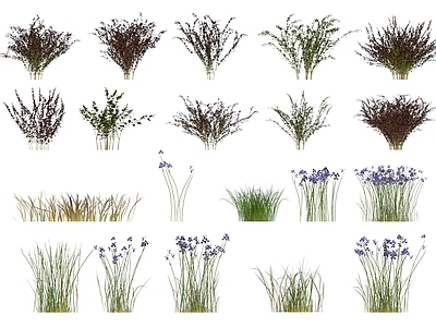 现代花草组合